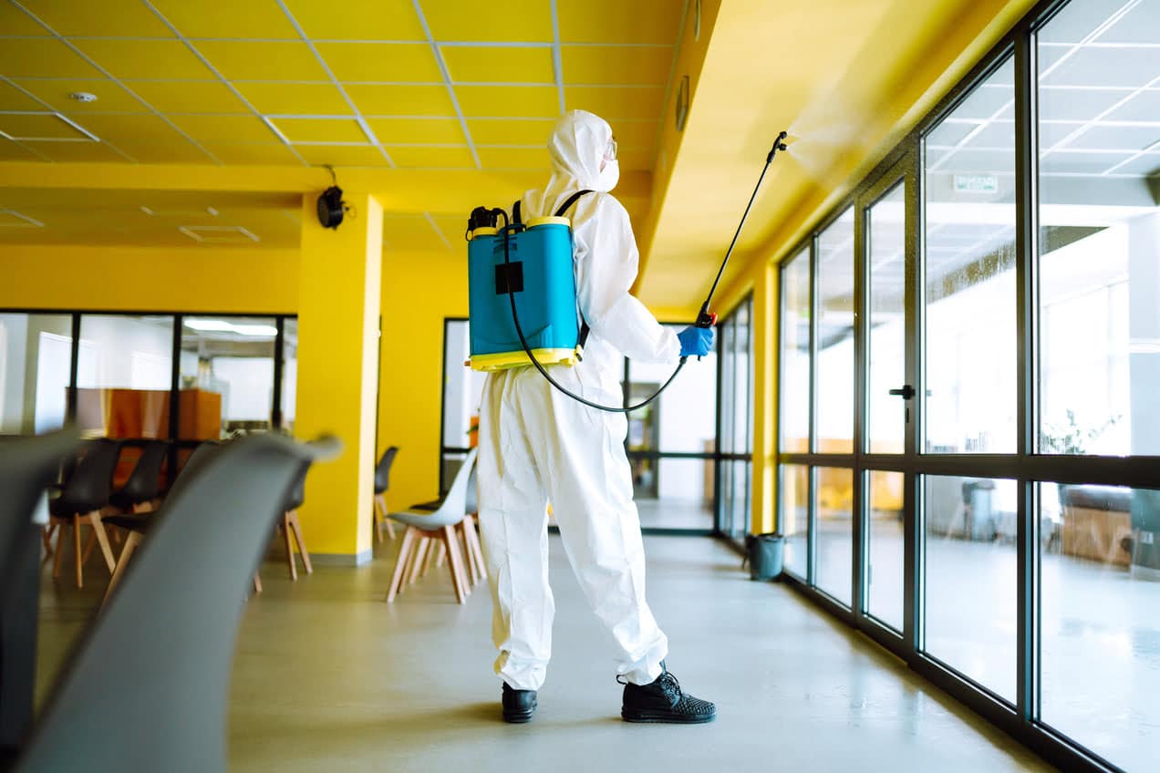 Anti Nuisible contractor disinfecting office